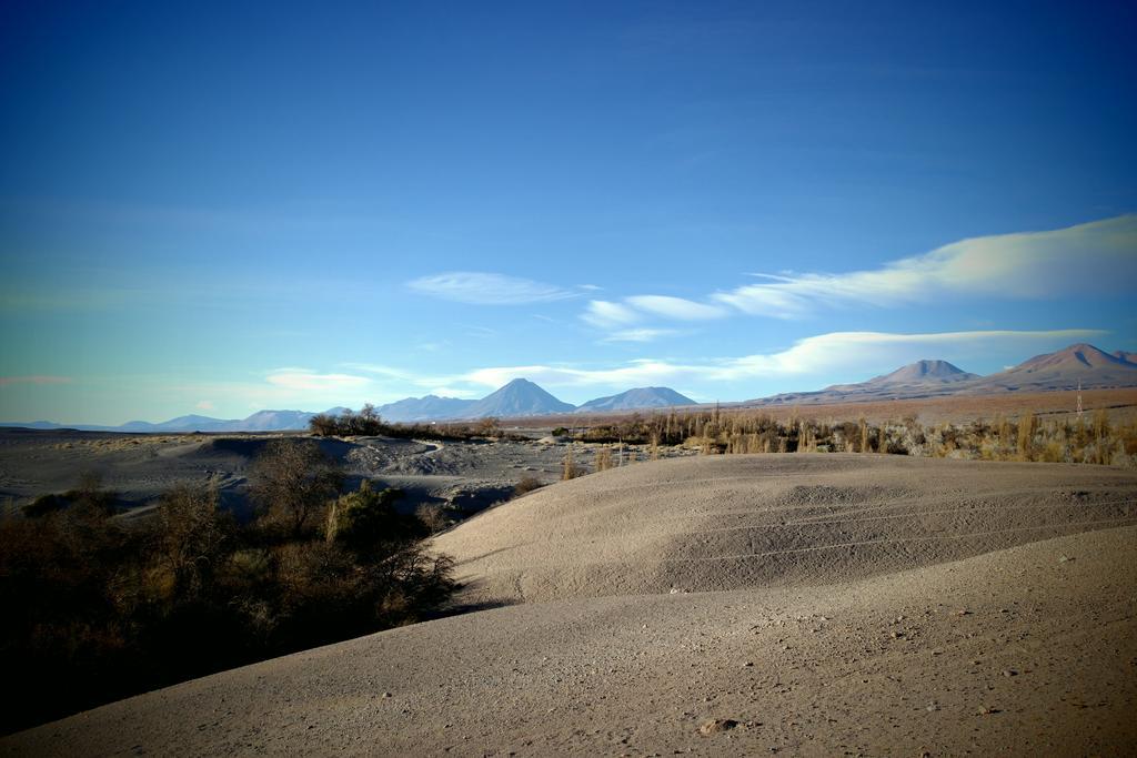 Complejo Turistico El Toconar Villa Toconao Eksteriør bilde