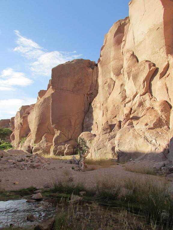 Complejo Turistico El Toconar Villa Toconao Eksteriør bilde